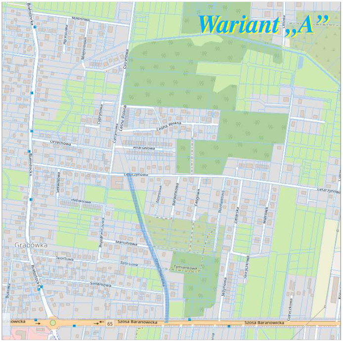 wariant a