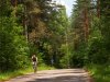 Knyszyn Forest