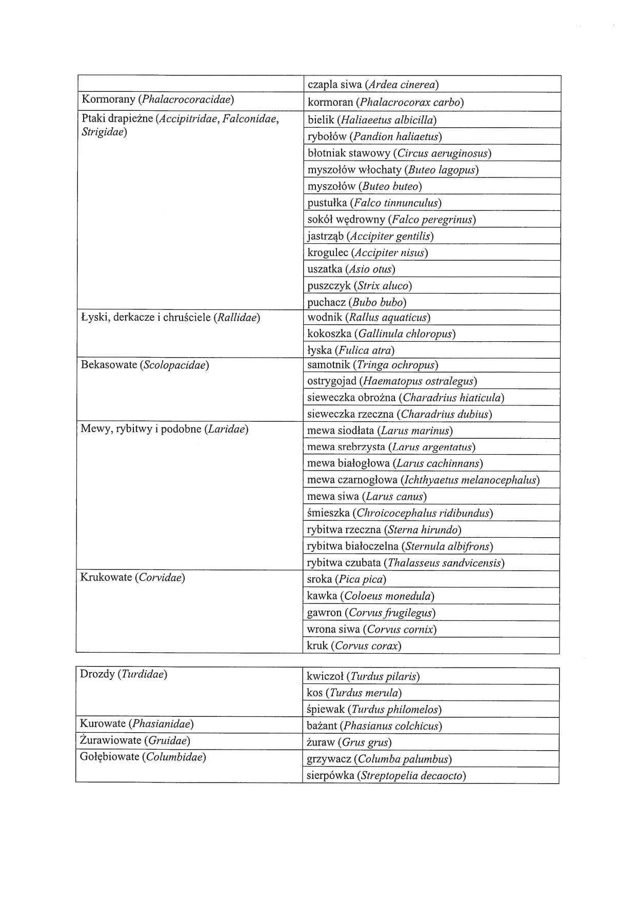 doc16074120260219132120 page 0004